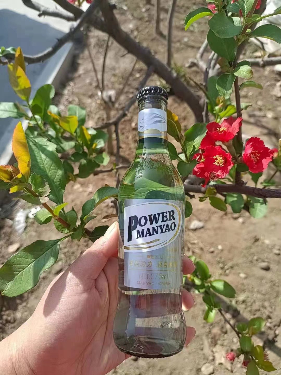 漫遥动力苏打酒